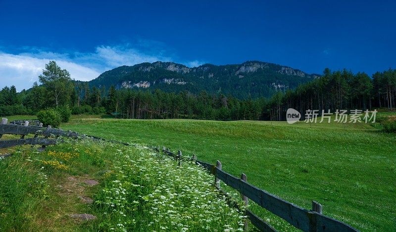 Kastelruth Dolomites的风景